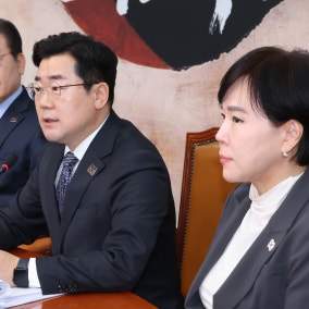 DP demands acting President Choi appoint Ma to Constitutional Court after ruling