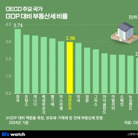 거래세 인상 D-4…보유세도 7월 윤곽?