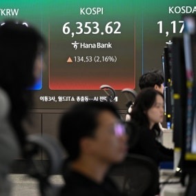 땜질 처방 '삼전닉스 레버리지'...정부가 침묵한 몇 가지