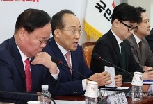 추경호 "野 '김여사 특검법' 강행 즉시 재의요구 건의"