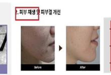 최근 1년간 화장품 행정처분 427건…표시·광고 위반 최다