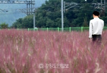토요일 전국 흐림… 추석까지 곳곳 빗줄기 이어질듯