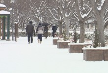 광주·전남 나흘째 큰 눈..내일까지 최고 20cm