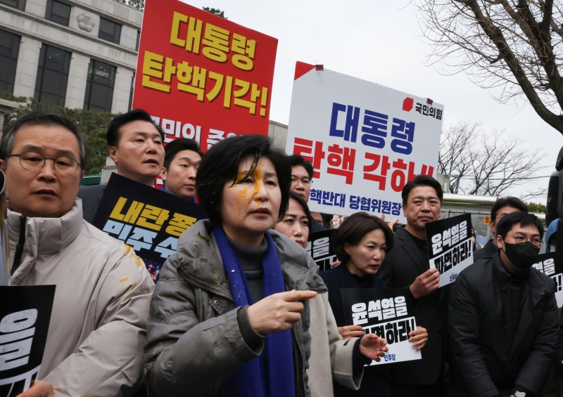 '尹 파면' 촉구하던 민주당 의원들, 날계란 맞아