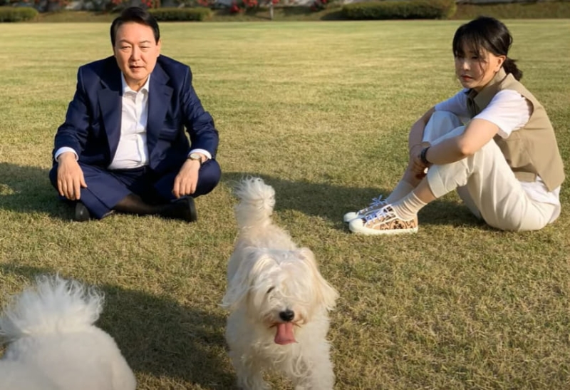 尹 부부 구속으로 남겨진 반려동물 11마리...누가 돌보나