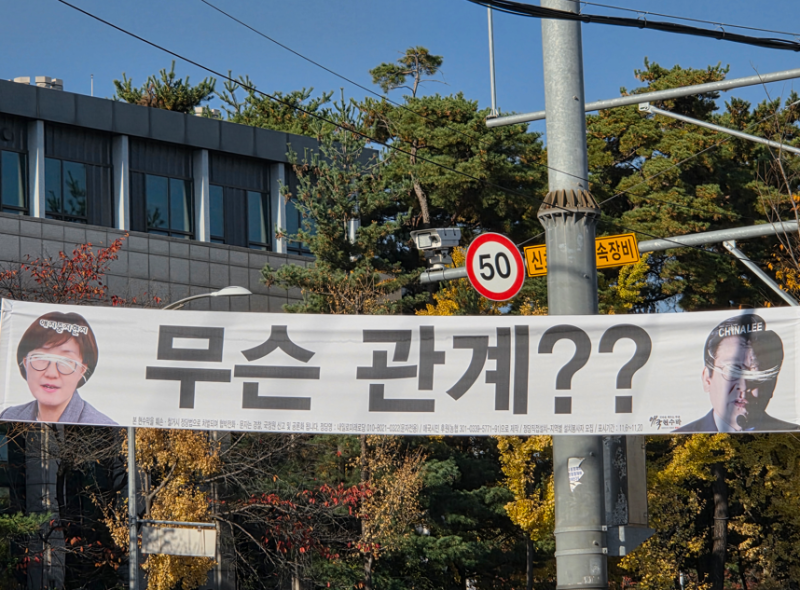 "비방·혐오 정당 현수막 난립"…정부, 특혜 법 손본다