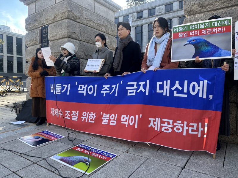 "'비둘기 먹이 주기 금지'는 동물학대"...동물단체, 헌법소원