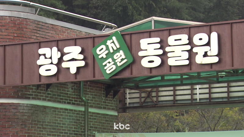 李 대통령 "광주에 판다 대여 요청했다"…광주시 우치동물원 긴급 점검