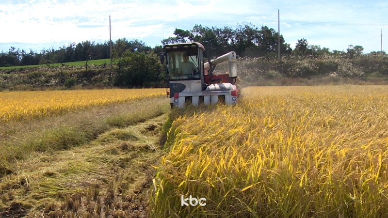 "농사짓는 사람만 농지 소유, 투기 안 돼"...사상 첫 '고강도 전수조사'