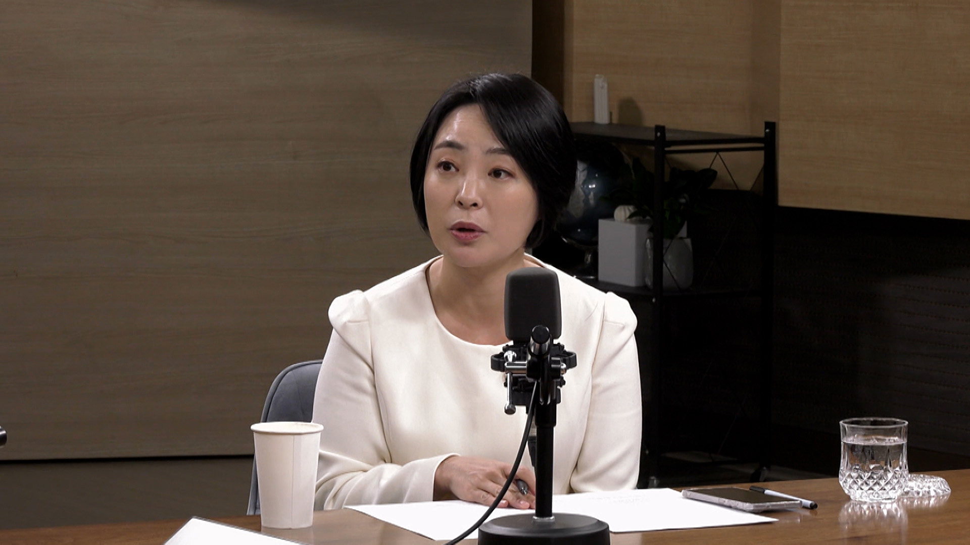 손수조 "정청래·김어준팀, '공소취소 거래설' 먹혀...이재명 이겨, 극좌 유튜버에 휘둘려"[여의도 진검승부]