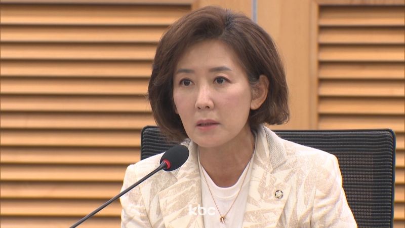 나경원 "국조, 이재명 죄 지우기"...천하람 "검사들, 증언 거부해야"...민병덕 "피눈물 갚아야" [여의도초대석]