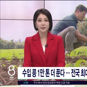 수입콩 1만 톤 더 푼다...전국 최대 주산지 제주 농가  반발