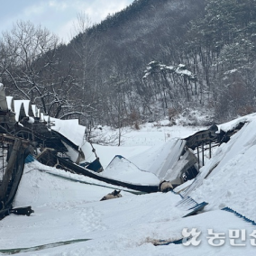 대설 피해지역에 재난특교세 긴급 지원