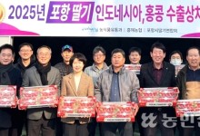‘포항 딸기’ 인니·홍콩으로…해외시장 본격 공략[판매농협이 간다]