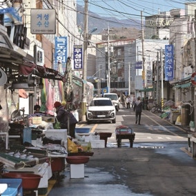 6·3 지선 전에 묻다: 기본소득은 포퓰리즘인가 기본권인가