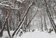 전국 대부분 영하 10도 아래 뚝…이번 주말도 맹추위
