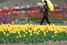 “우산 필수” 주말 또 비소식…곳에 따라 천둥·번개 [날씨]